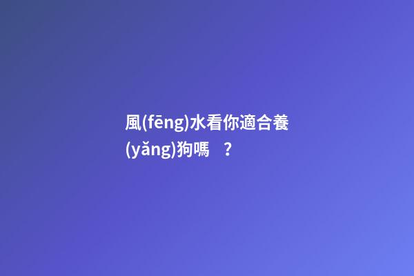 風(fēng)水看你適合養(yǎng)狗嗎？